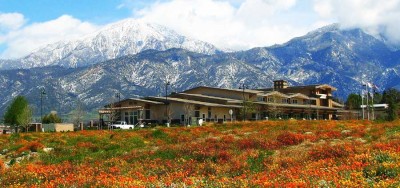 Yucaipa Real Estate for sale and rent